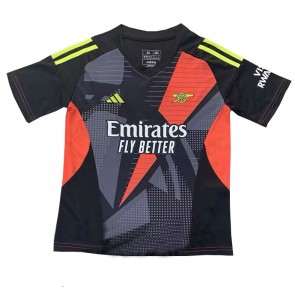 Arsenal Brankářské Alternativní Dres 2024-25 Krátký Rukáv